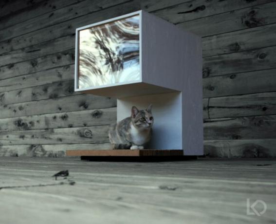 ultramoderní kočičí dům
