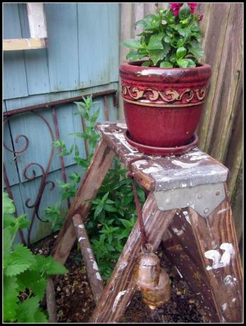 Преработена старинна стълба, витрина за градински растения