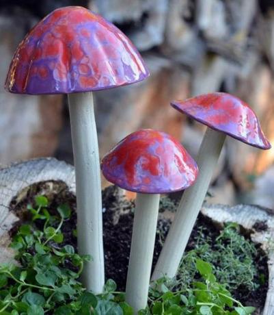 Fialové a červené keramické houby