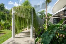 Пишний тропічний будинок, оточений природою