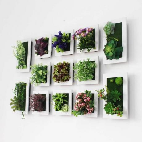 Декор за стена от изкуствени растения в рамки