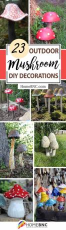 Nejlepší DIY nápady na venkovní houby