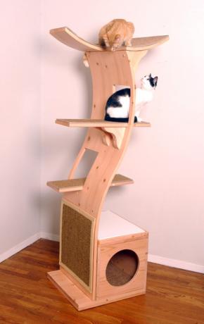 katt-tårn
